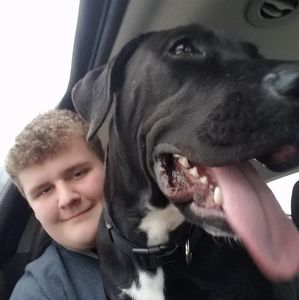 Meet your Posher, Jacob